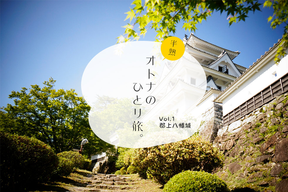 山頂から見下ろす街。気分は殿様だぜ!晴天の「郡上八幡城」を満喫