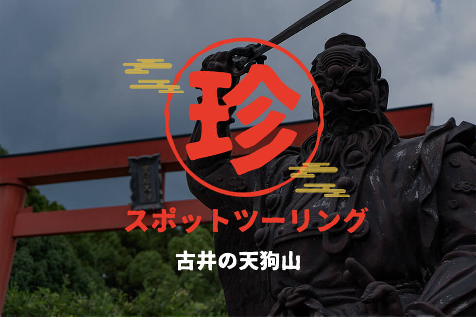 圧巻&迫力！3,400の天狗と日本一の大天狗！「古井の天狗山」