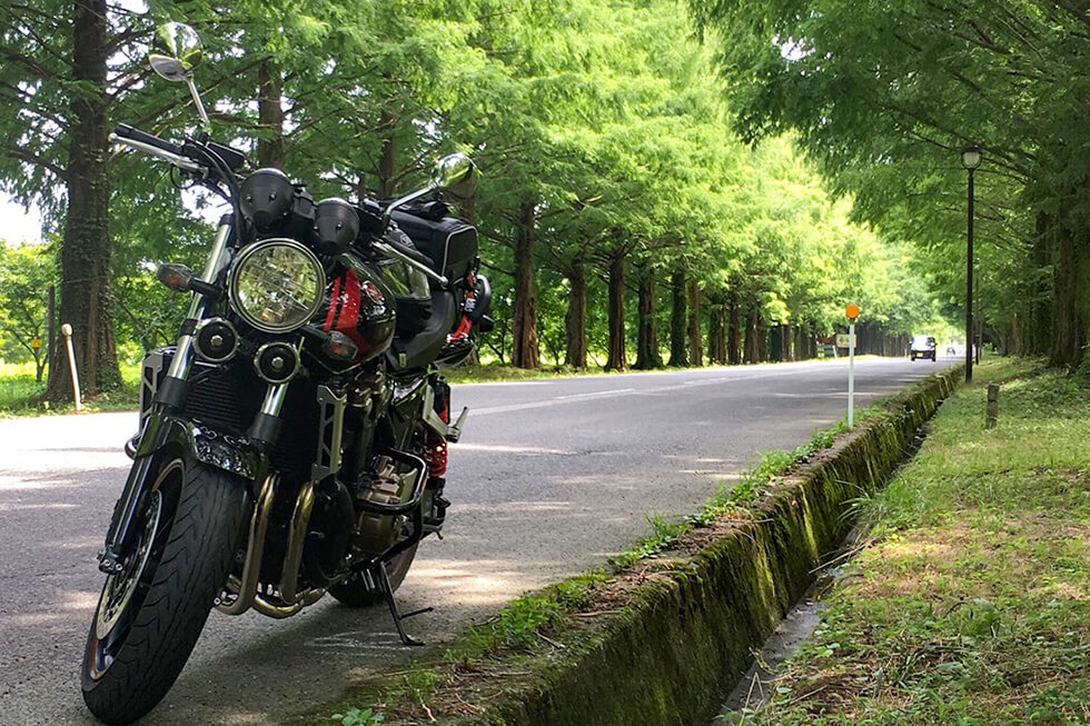 ベリンダ 2024 Kawasaki ZX1002, L | JKBZXVL13RA013360 | Bid History